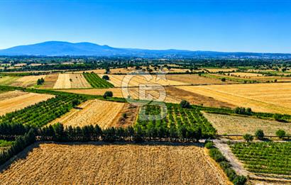 Çanakkale Bayramiç Ahmetçeli Köyü 1871 m2 Tarla
