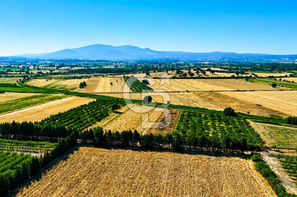 Çanakkale Bayramiç Ahmetçeli Köyü 1871 m2 Tarla
