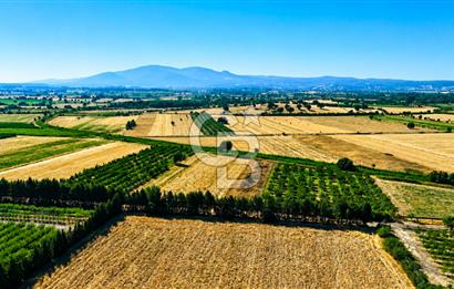 Çanakkale Bayramiç Ahmetçeli Köyü 1871 m2 Tarla