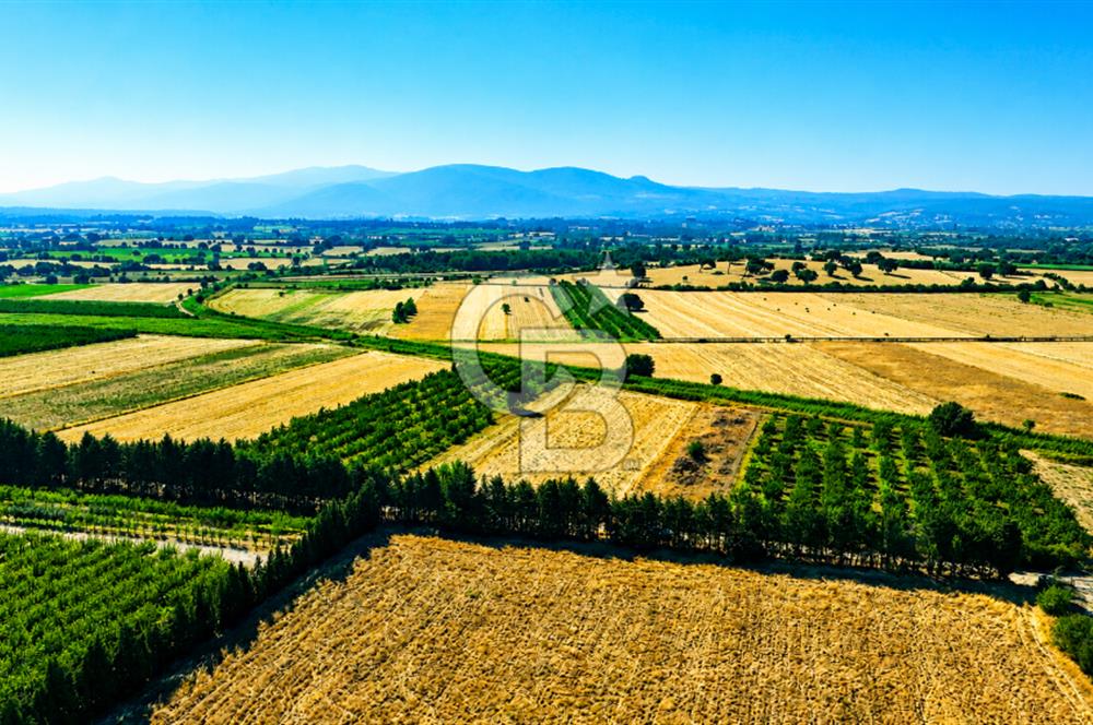 Çanakkale Bayramiç Ahmetçeli Köyü 1871 m2 Tarla