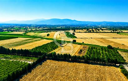 Çanakkale Bayramiç Ahmetçeli Köyü 1871 m2 Tarla