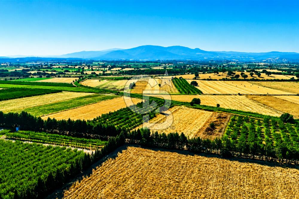 Çanakkale Bayramiç Ahmetçeli Köyü 1871 m2 Tarla