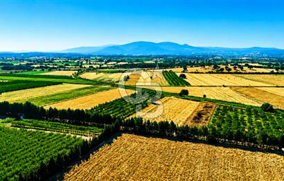 Çanakkale Bayramiç Ahmetçeli Köyü 1871 m2 Tarla