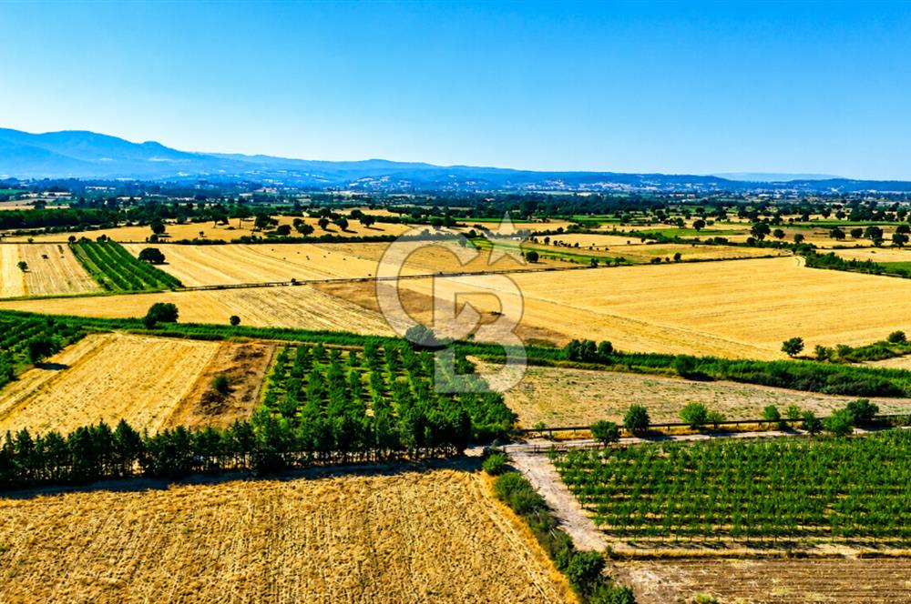 Çanakkale Bayramiç Ahmetçeli Köyü 1871 m2 Tarla