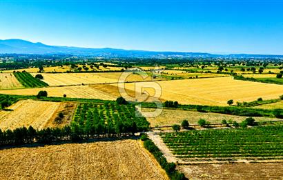 Çanakkale Bayramiç Ahmetçeli Köyü 1871 m2 Tarla