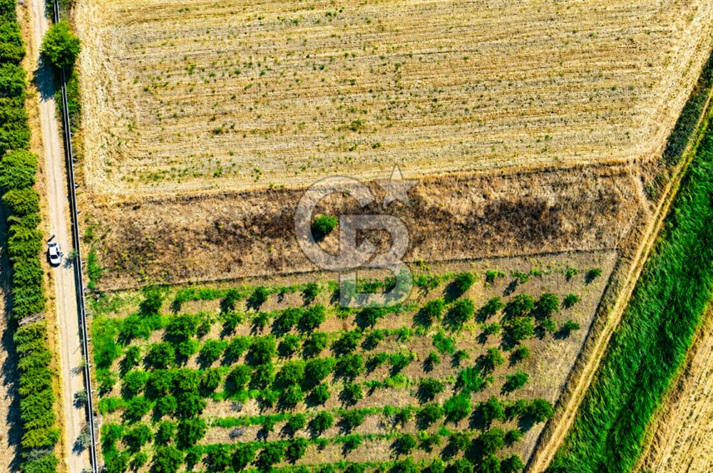 Çanakkale Bayramiç Ahmetçeli Köyü 1871 m2 Tarla