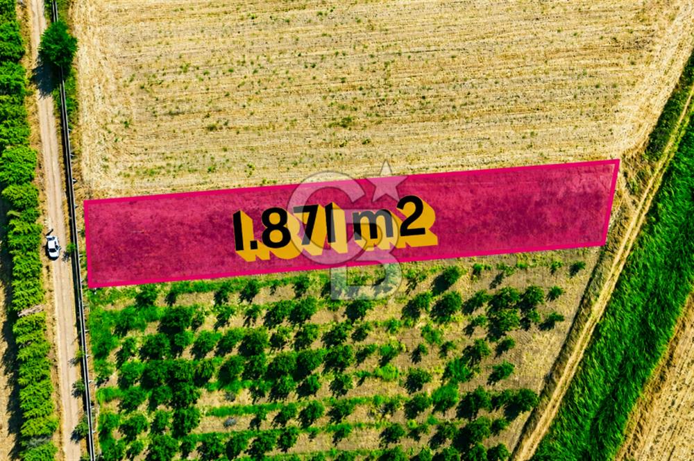 Çanakkale Bayramiç Ahmetçeli Köyü 1871 m2 Tarla