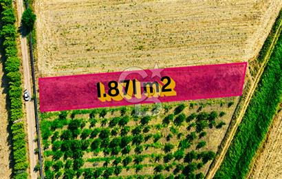 Çanakkale Bayramiç Ahmetçeli Köyü 1871 m2 Tarla