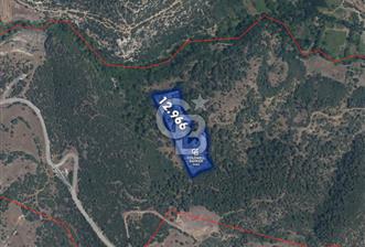 CB Eagle'Dan DURSUNBEY GÖKÇEDAĞ'DA 12.966 m² SATILIK TARLA  - 10 - 350257
