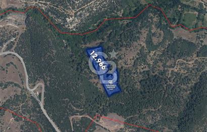 CB Eagle'Dan DURSUNBEY GÖKÇEDAĞ'DA 12.966 m² SATILIK TARLA 