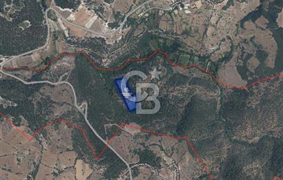 CB Eagle'Dan DURSUNBEY GÖKÇEDAĞ'DA 12.966 m² SATILIK TARLA 