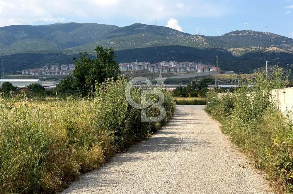 Kemalpaşa Akalan'da Lojistik Noktalara Yakın Satılık Bağ