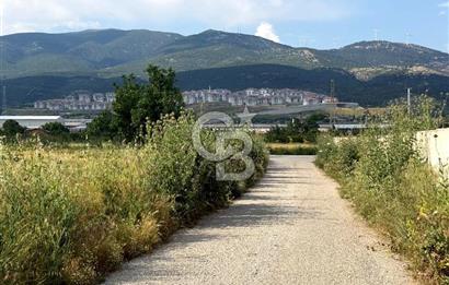 Kemalpaşa Akalan'da Lojistik Noktalara Yakın Satılık Bağ