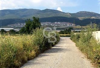 Kemalpaşa Akalan'da Lojistik Noktalara Yakın Satılık Bağ - 8 - 350290