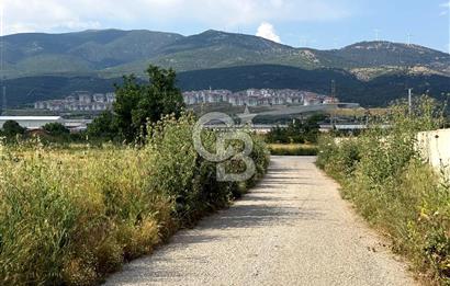 Kemalpaşa Akalan'da Lojistik Noktalara Yakın Satılık Bağ