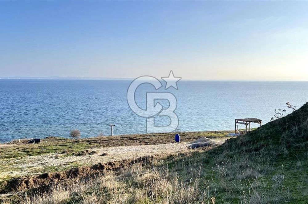 Tekirdağ Şarköy'de Satılık Konut İmarlı Arsa