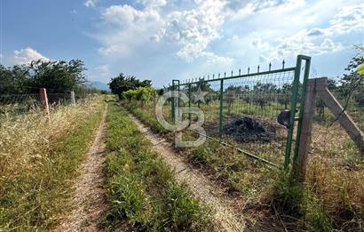 Kemalpaşa Akalan'da Lojistik Noktalara Yakın Satılık Bağ