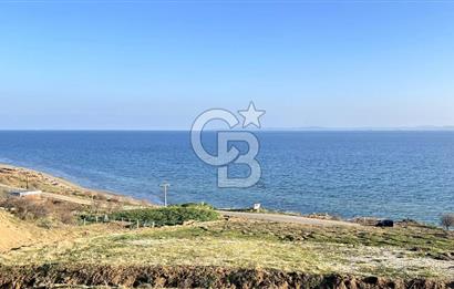 Tekirdağ Şarköy'de Satılık Konut İmarlı Arsa
