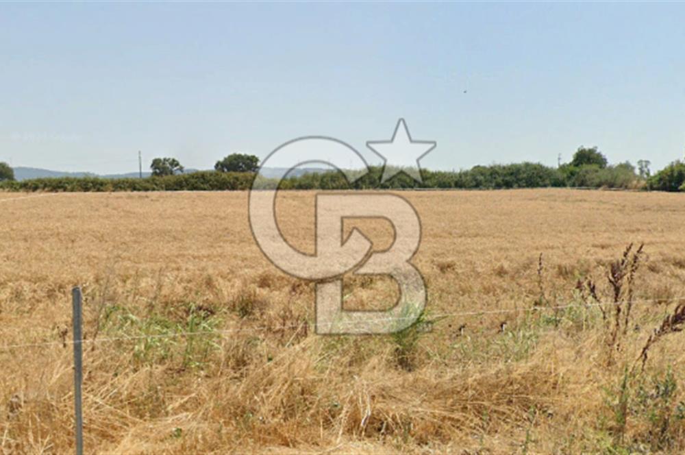 CB KİNG'DEN GÖNEN/KURTULUŞ MAHALLESİ 5222m² SATILIK TİCARİ ARSA