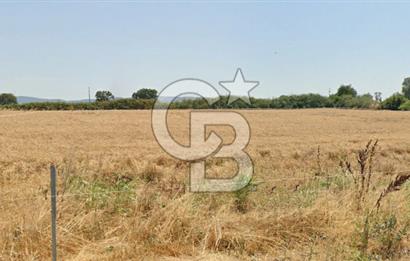 CB KİNG'DEN GÖNEN/KURTULUŞ MAHALLESİ 5222m² SATILIK TİCARİ ARSA