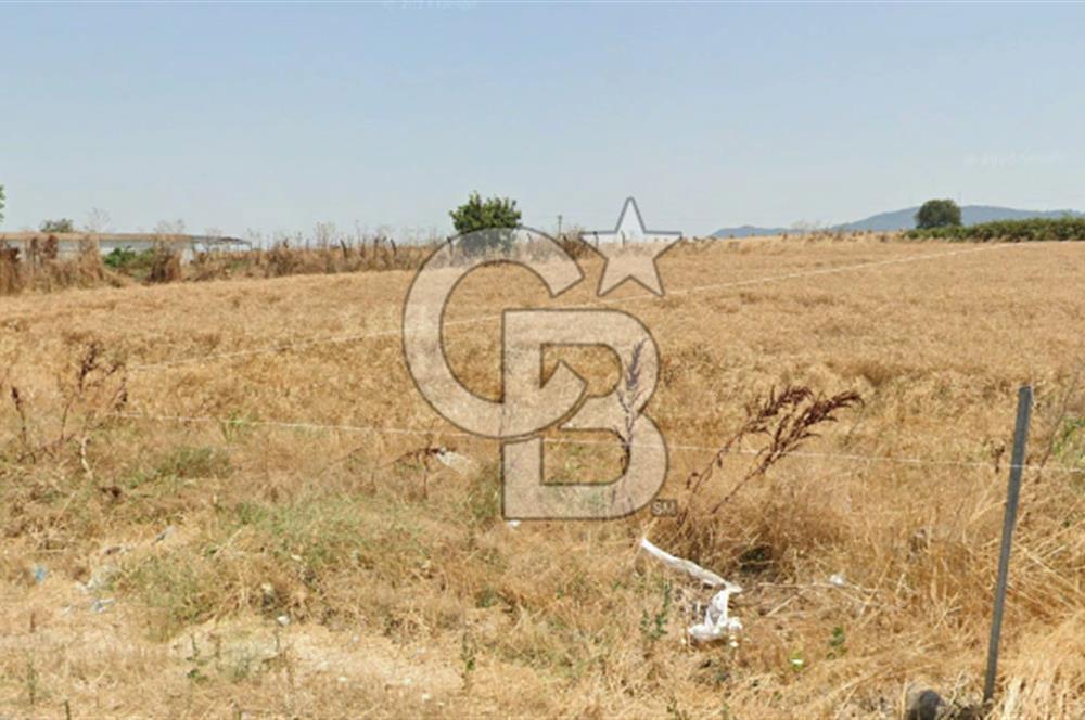 CB KİNG'DEN GÖNEN/KURTULUŞ MAHALLESİ 5222m² SATILIK TİCARİ ARSA