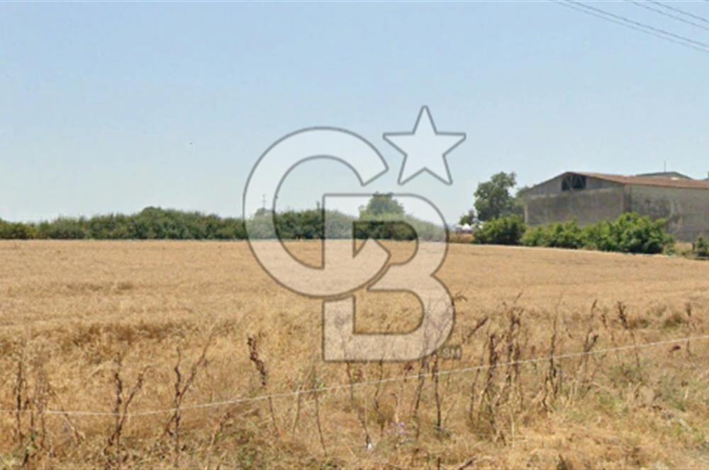 CB KİNG'DEN GÖNEN/KURTULUŞ MAHALLESİ 5222m² SATILIK TİCARİ ARSA
