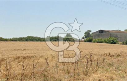 CB KİNG'DEN GÖNEN/KURTULUŞ MAHALLESİ 5222m² SATILIK TİCARİ ARSA