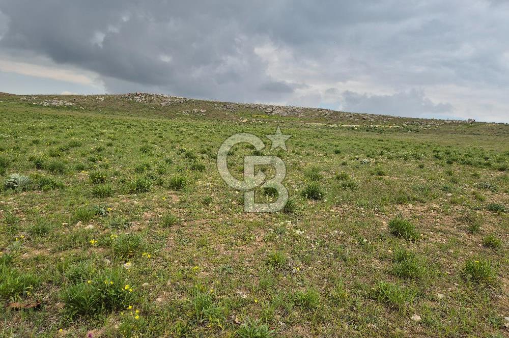 GÖLBAŞI HACILAR’DA  MUSTAKİL TAPULU 1500.m² SATILIK ARSA