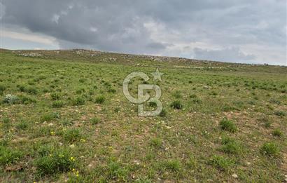 GÖLBAŞI HACILAR’DA  MUSTAKİL TAPULU 1500.m² SATILIK ARSA