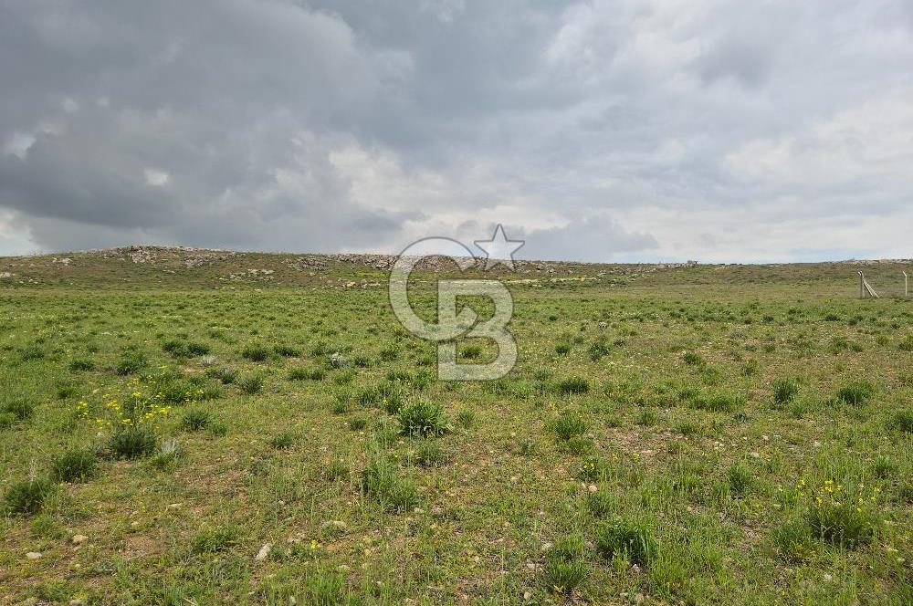 GÖLBAŞI HACILAR’DA  MUSTAKİL TAPULU 1500.m² SATILIK ARSA