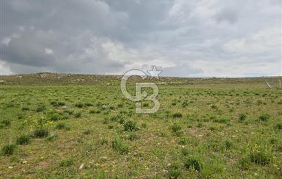 GÖLBAŞI HACILAR’DA  MUSTAKİL TAPULU 1500.m² SATILIK ARSA