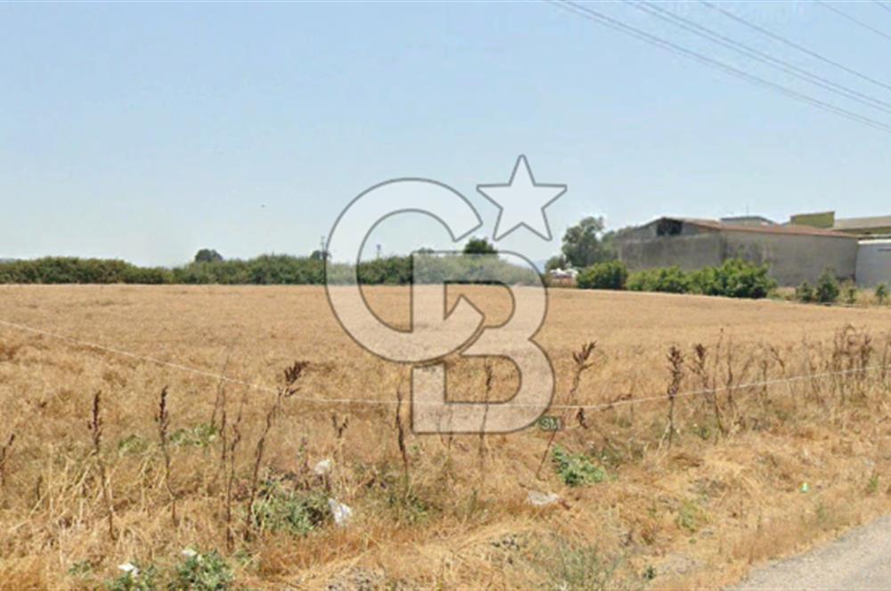 CB KİNG'DEN GÖNEN/KURTULUŞ MAHALLESİ 5222m² SATILIK TİCARİ ARSA