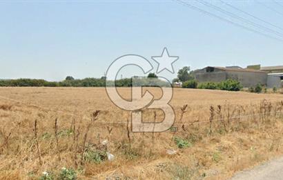 CB KİNG'DEN GÖNEN/KURTULUŞ MAHALLESİ 5222m² SATILIK TİCARİ ARSA
