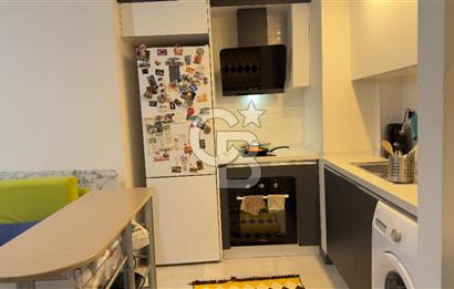 Seyrek Merkezde Satılık  1+1 Daire