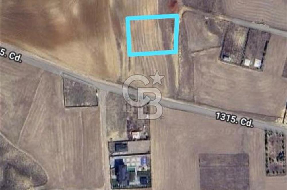 Hacılar 3000 m2 villa imarlı tek tapu