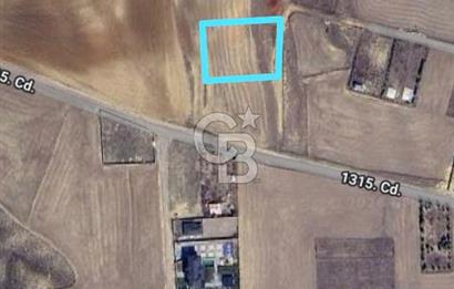Hacılar 3000 m2 villa imarlı tek tapu