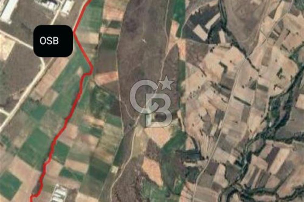 KIRKLARELİ ÜSKÜPDEREKÖY'DE OSB YAKINI 21 DÖNÜM TARLA YATIRIM FIRSATI