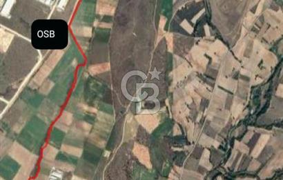 KIRKLARELİ ÜSKÜPDEREKÖY'DE OSB YAKINI 21 DÖNÜM TARLA YATIRIM FIRSATI