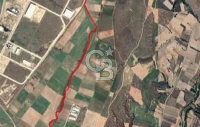 KIRKLARELİ ÜSKÜPDEREKÖY'DE OSB YAKINI 21 DÖNÜM TARLA YATIRIM FIRSATI