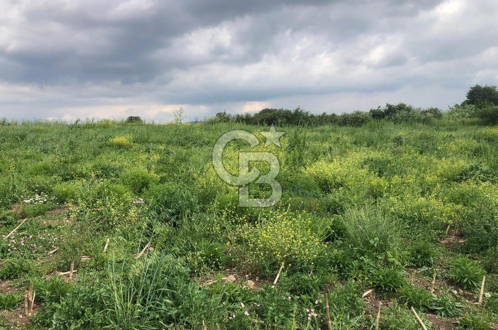 CB KİNG'DEN GÖNEN/KURTULUŞ MAHALLESİ 5222m² SATILIK TİCARİ ARSA