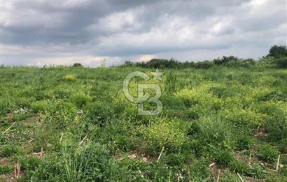 CB KİNG'DEN GÖNEN/KURTULUŞ MAHALLESİ 5222m² SATILIK TİCARİ ARSA
