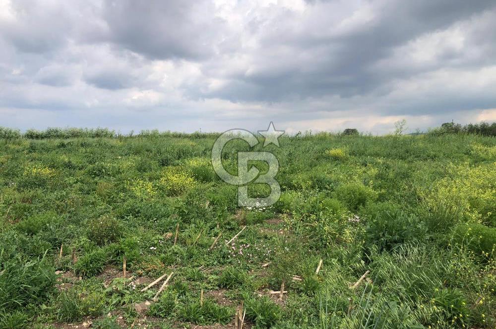 CB KİNG'DEN GÖNEN/KURTULUŞ MAHALLESİ 5222m² SATILIK TİCARİ ARSA