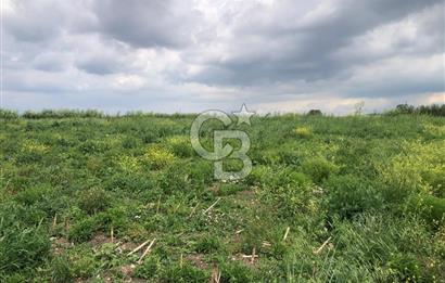 CB KİNG'DEN GÖNEN/KURTULUŞ MAHALLESİ 5222m² SATILIK TİCARİ ARSA