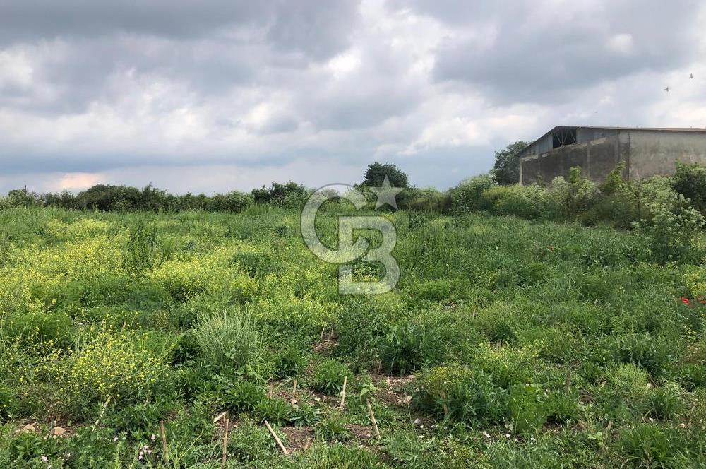 CB KİNG'DEN GÖNEN/KURTULUŞ MAHALLESİ 5222m² SATILIK TİCARİ ARSA