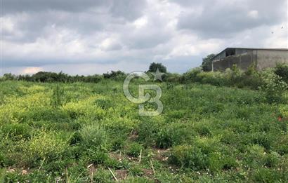 CB KİNG'DEN GÖNEN/KURTULUŞ MAHALLESİ 5222m² SATILIK TİCARİ ARSA
