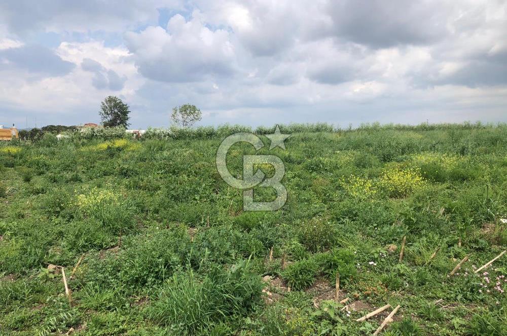 CB KİNG'DEN GÖNEN/KURTULUŞ MAHALLESİ 5222m² SATILIK TİCARİ ARSA