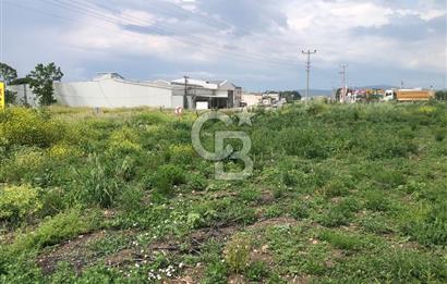 CB KİNG'DEN GÖNEN/KURTULUŞ MAHALLESİ 5222m² SATILIK TİCARİ ARSA