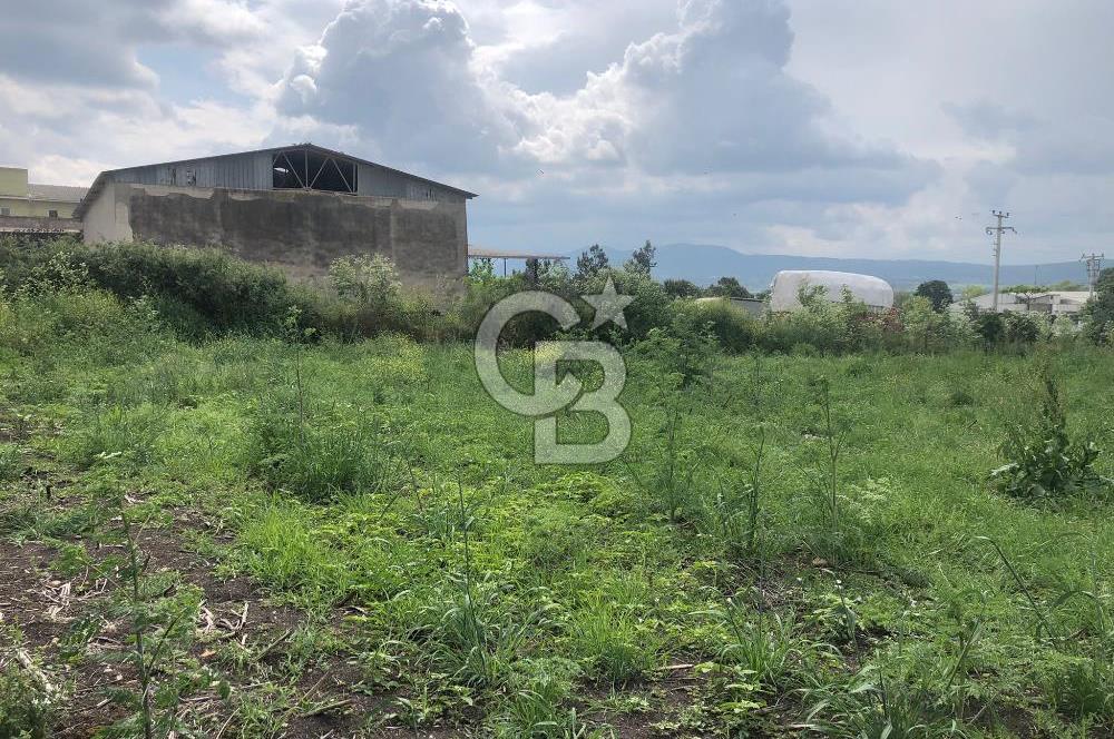 CB KİNG'DEN GÖNEN/KURTULUŞ MAHALLESİ 5222m² SATILIK TİCARİ ARSA