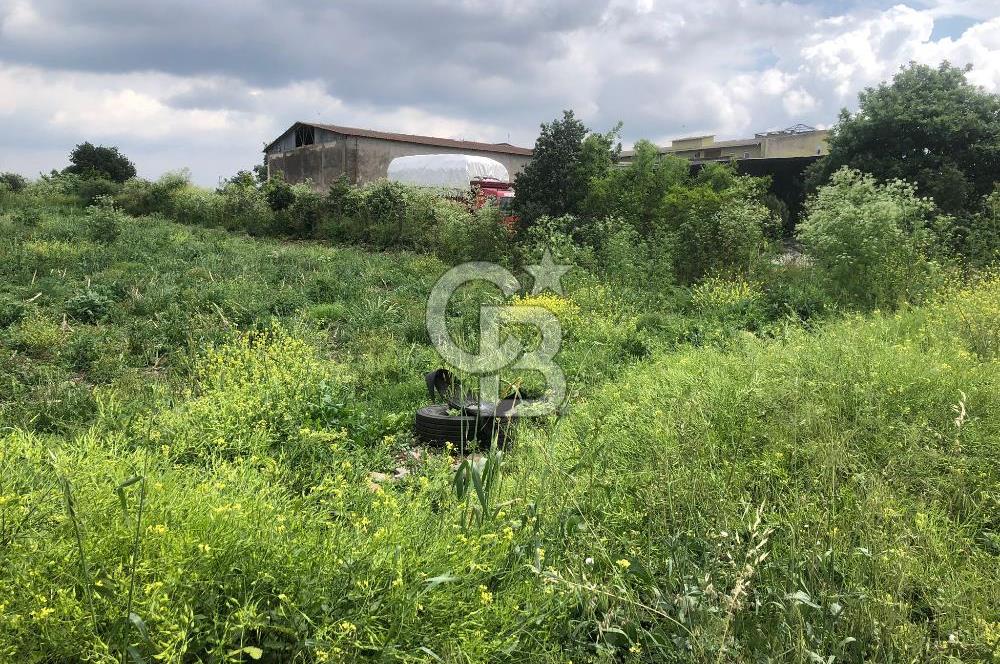 CB KİNG'DEN GÖNEN/KURTULUŞ MAHALLESİ 5222m² SATILIK TİCARİ ARSA