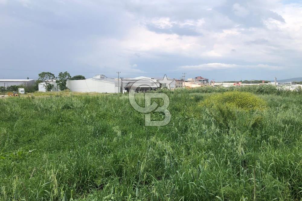 CB KİNG'DEN GÖNEN/KURTULUŞ MAHALLESİ 5222m² SATILIK TİCARİ ARSA
